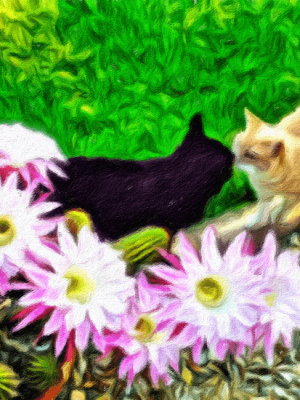 2 Cats Greeting (small canvas)