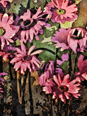 Pink Daisies (large canvas)